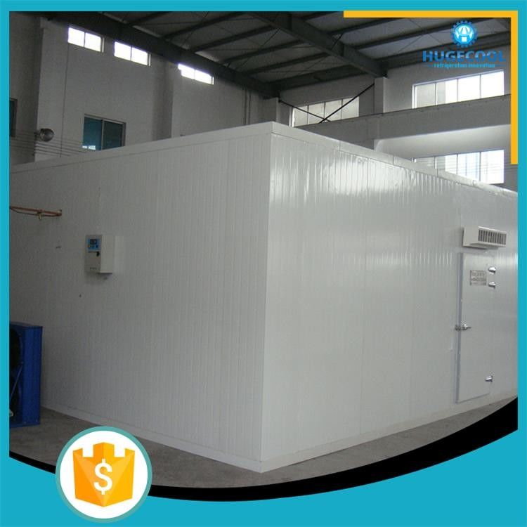 Refrigerator Freezer Modular Cold Room With B2 Grade Fire Retardant Panel