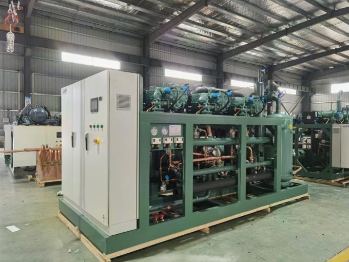 -40º C~+10º C Walk in Refrigeration Freezer Chiller Room Cold Storage for Frozen Meat