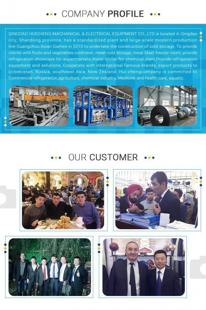 -40º C~+10º C Walk in Refrigeration Freezer Chiller Room Cold Storage for Frozen Meat