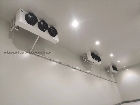 Customization Walk-in Cooler Refrigeration Cold Storage Freezer with Freon Refrigerant