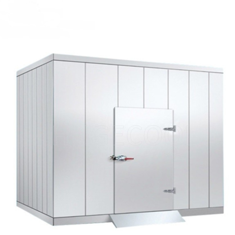 Double Open Cold Room Hinged Door For Frozen Food