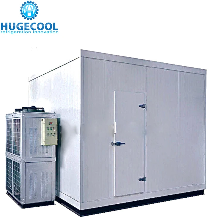 Danfoss Cold Storage Cold Room With 2.5 KW Power Consumption