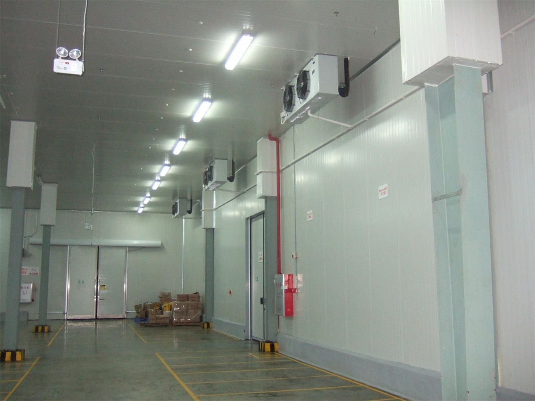 Temperature -10-0C Cold Storage Room with PU Panel and Freon Refrigerant