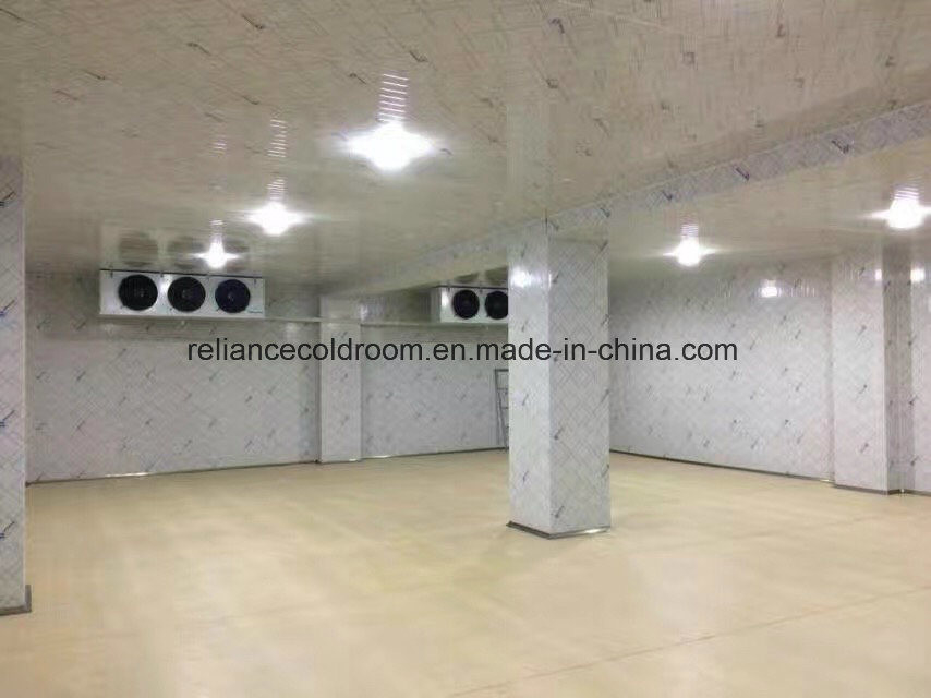 Medium Cold Room for Refrigerate Meat and Fish End Performance