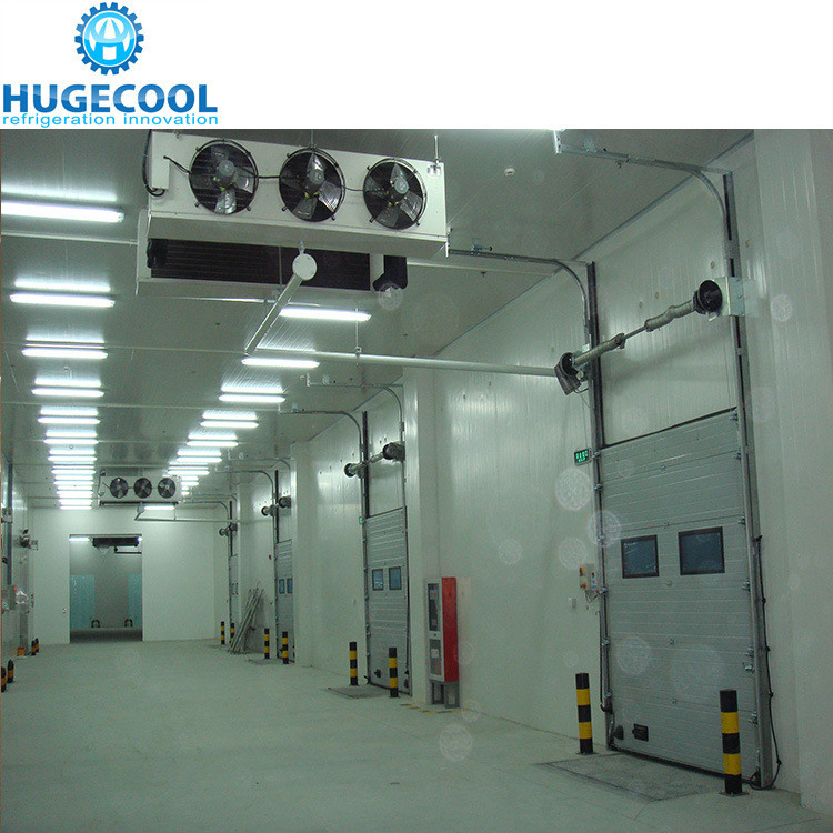 Large High Density Polyurethane Panel Cold Room for Meat and Fish Assembled Structure