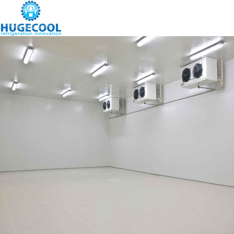 Large High Density Polyurethane Panel Cold Room for Meat and Fish Assembled Structure