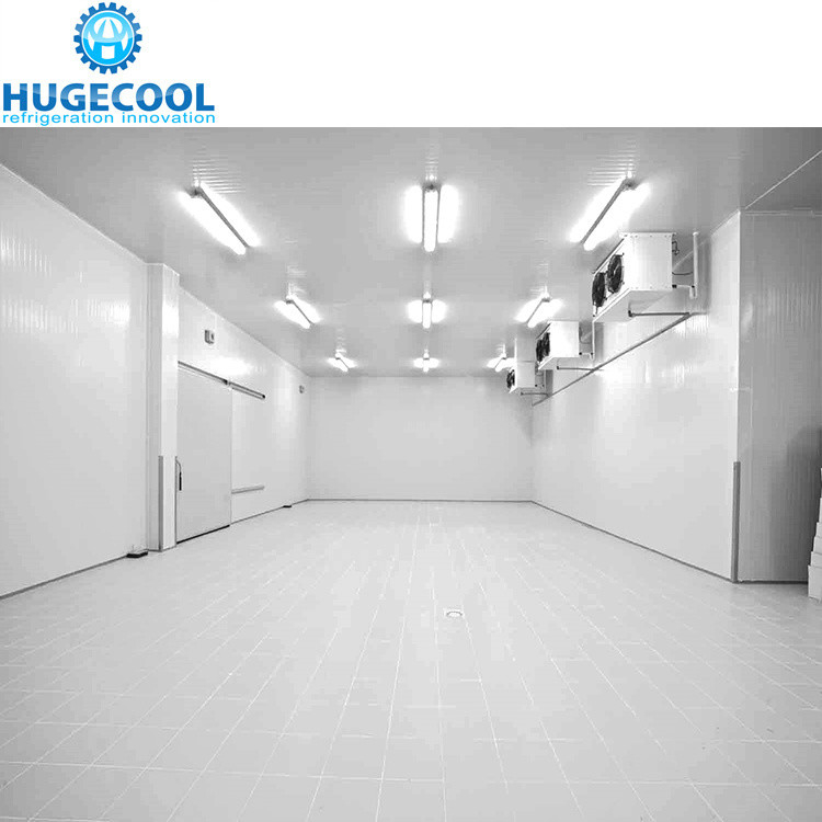 Large High Density Polyurethane Panel Cold Room for Meat and Fish Assembled Structure