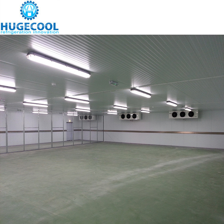 Large High Density Polyurethane Panel Cold Room for Meat and Fish Assembled Structure