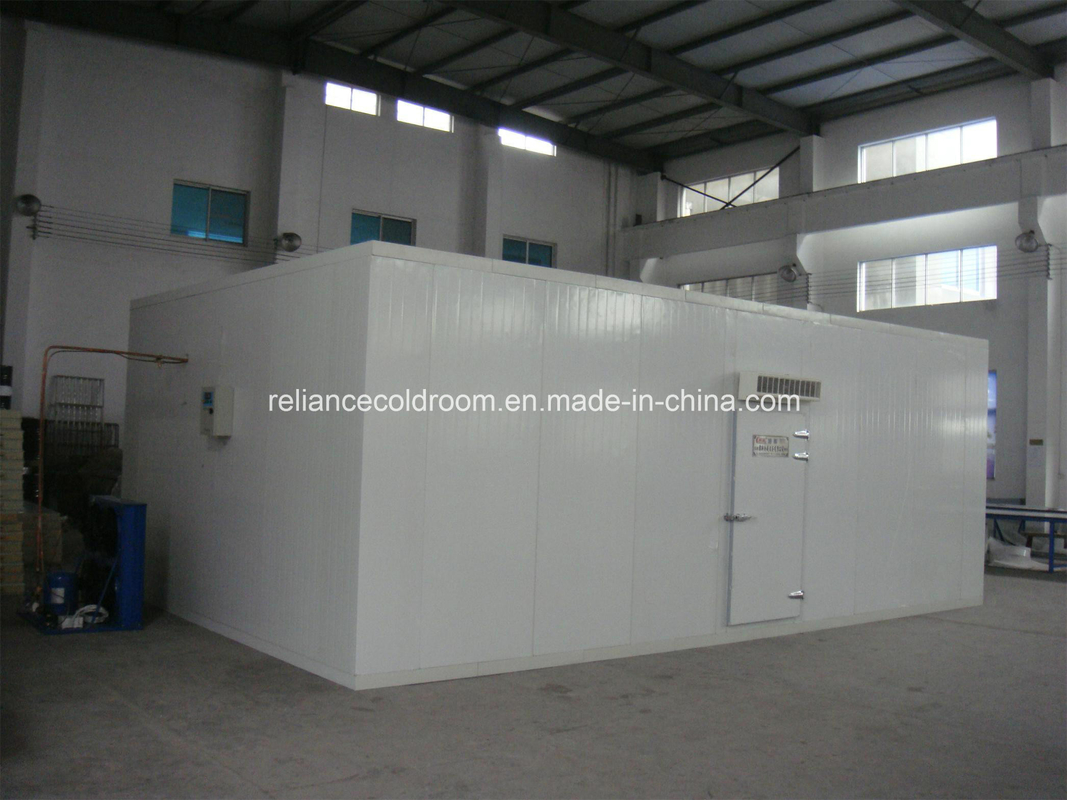Large High Density Polyurethane Panel Cold Room for Meat and Fish Assembled Structure