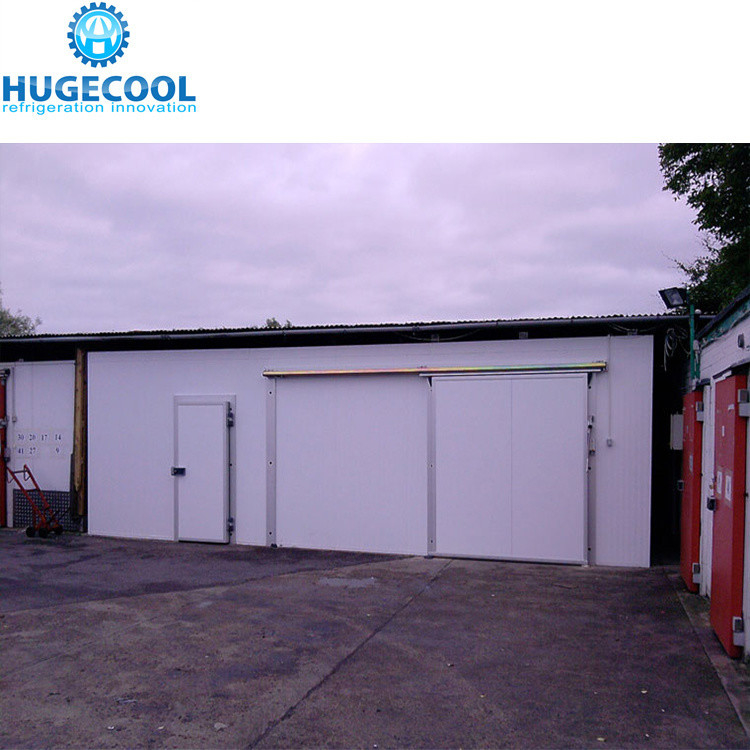 Large High Density Polyurethane Panel Cold Room for Meat and Fish Assembled Structure