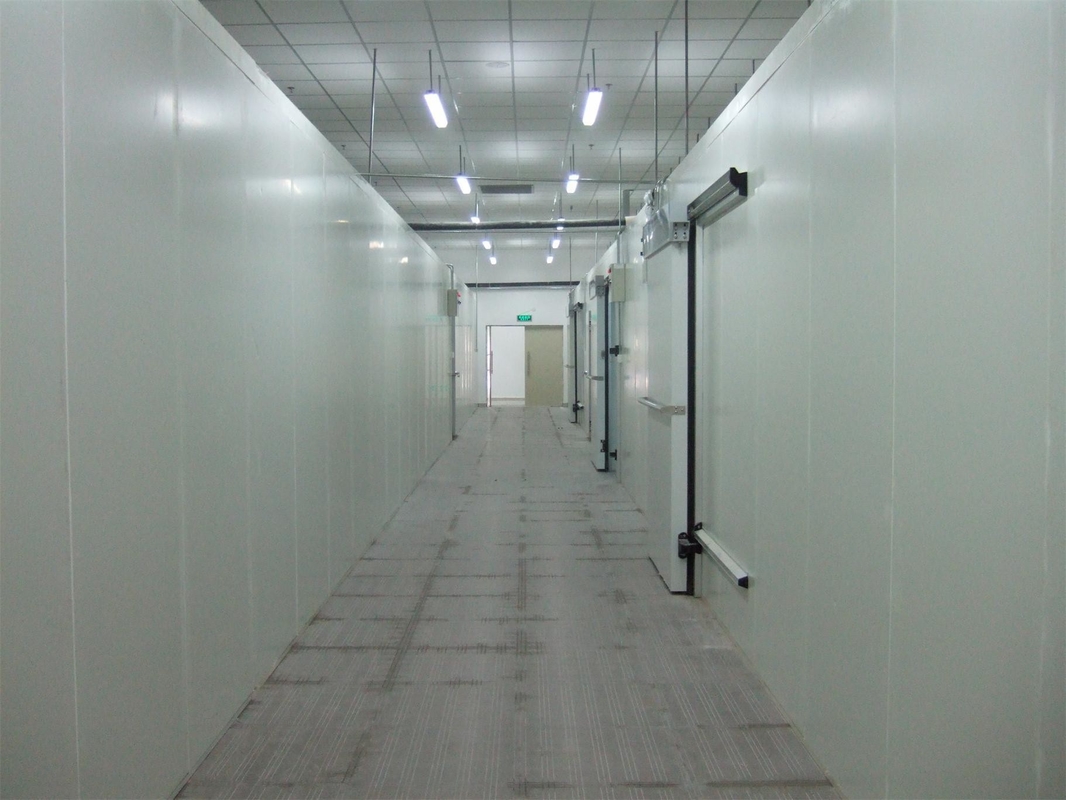 Standard Manual Sliding Door for Cold Room Freon Refrigerant and Customization Option