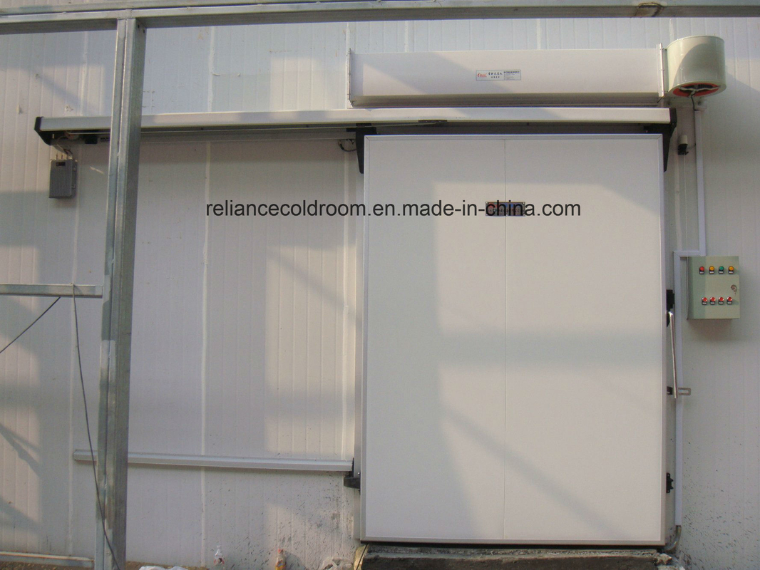 Small and Medium Cold Storage Room Hinged Door for Temperature -10-0C in Cold Room