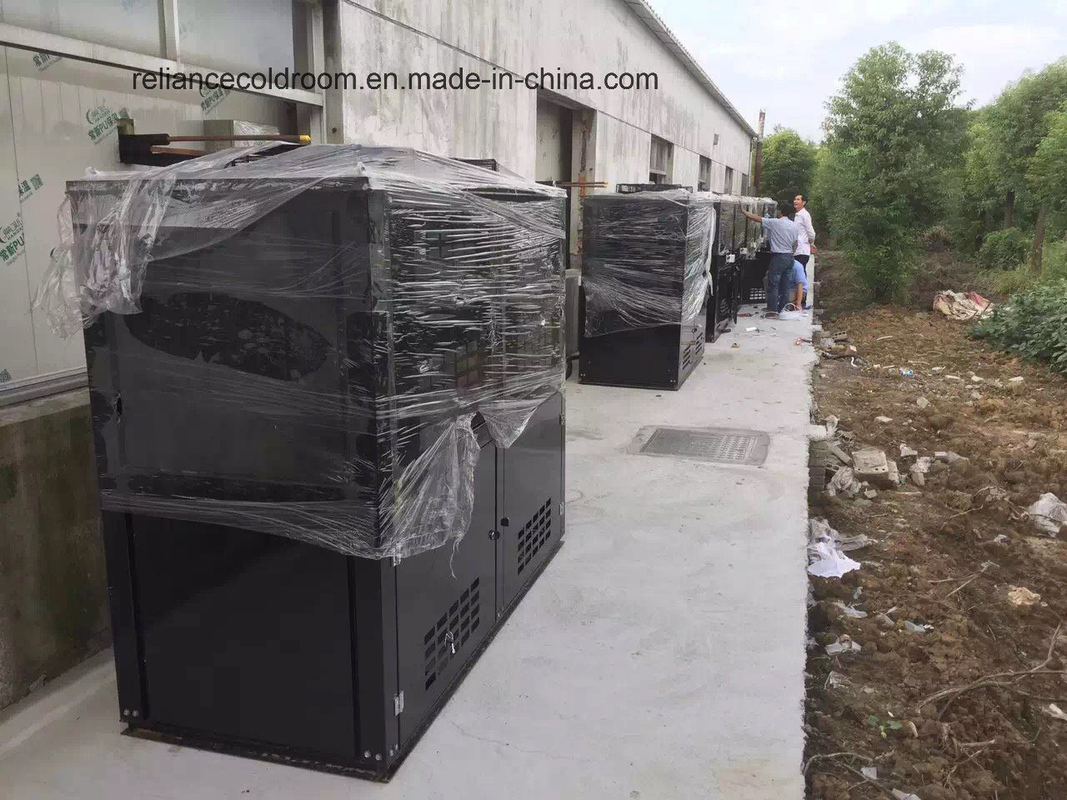 Deep Blast Freezer Cold Room Customization for Your Specific Requirements