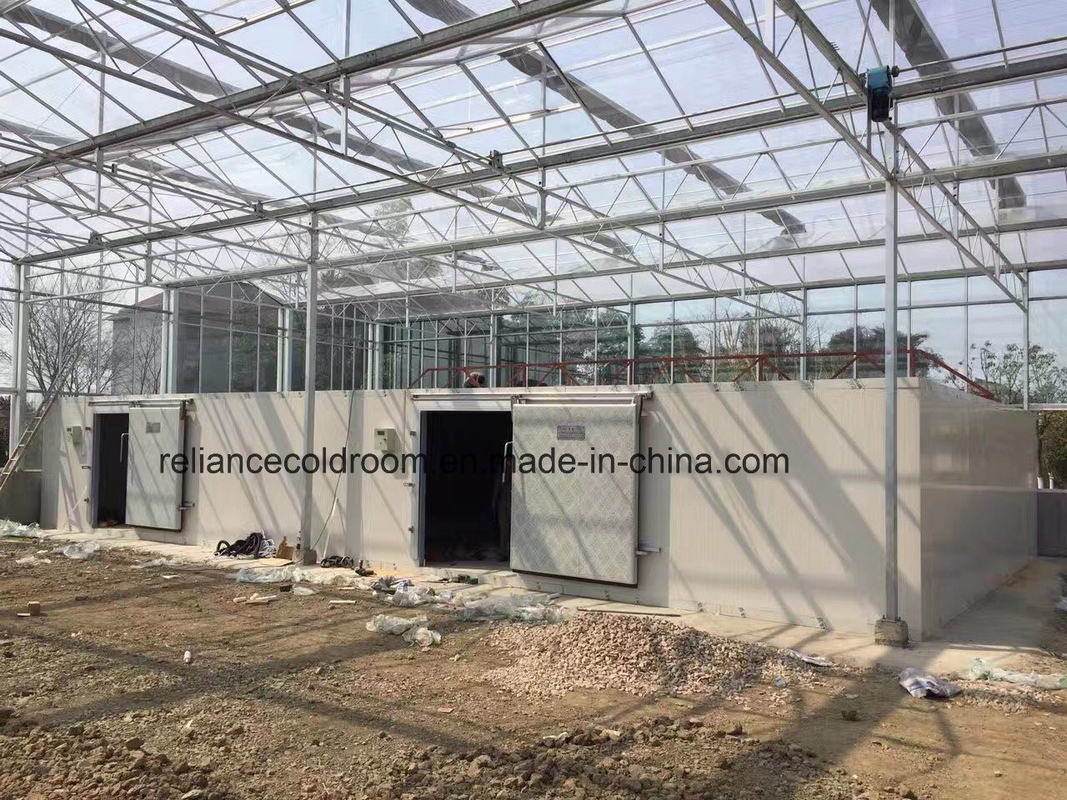 ISO Certified Agriculture Cold Storage Room PU1009810 for Optimal Temperature Control