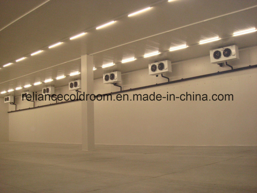 Reliance Walk in Freezer Room -20c to -30c with Direct Cooling Technology