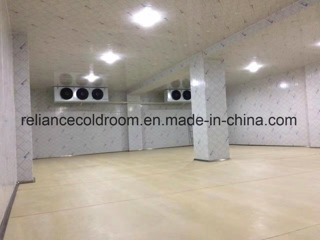 Reliance Walk in Freezer Room -20c to -30c with Direct Cooling Technology