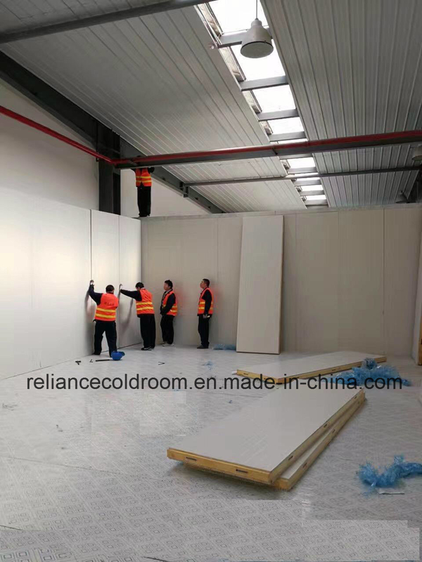 Reliance Walk in Freezer Room -20c to -30c with Direct Cooling Technology