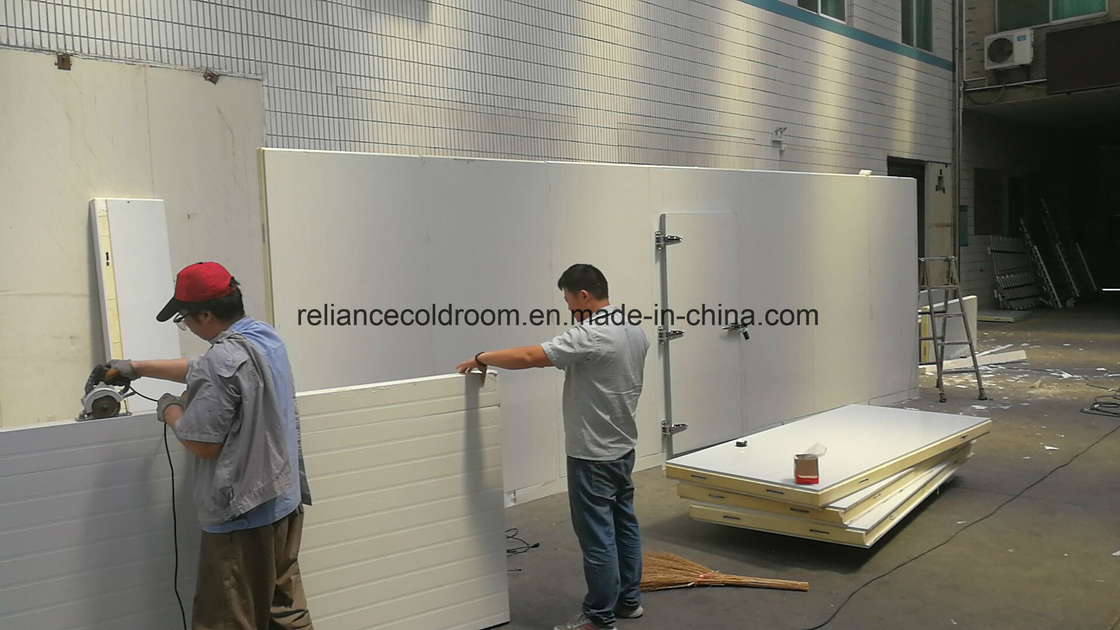 Direct Cooling Method Assembled Cold Storage 5 Years Assembled Structure