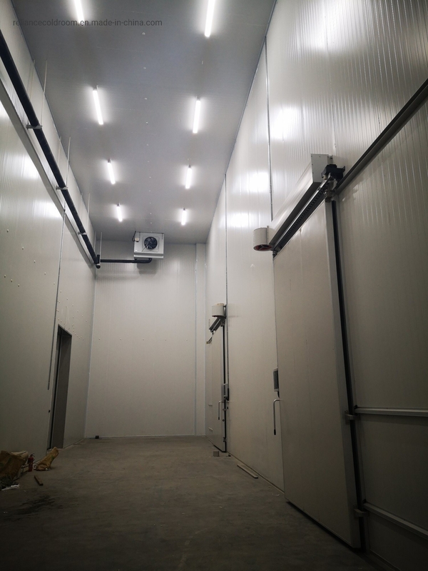 Structure Assembled 10 Coldroom for Frozen Meat Seafood Vegetables and Fruits -35c to 20c