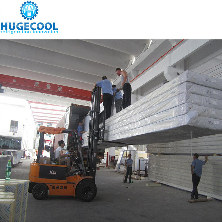 Efficiently Designed PU Panel Food Cold Storage Room for Chiller and Freezer Needs