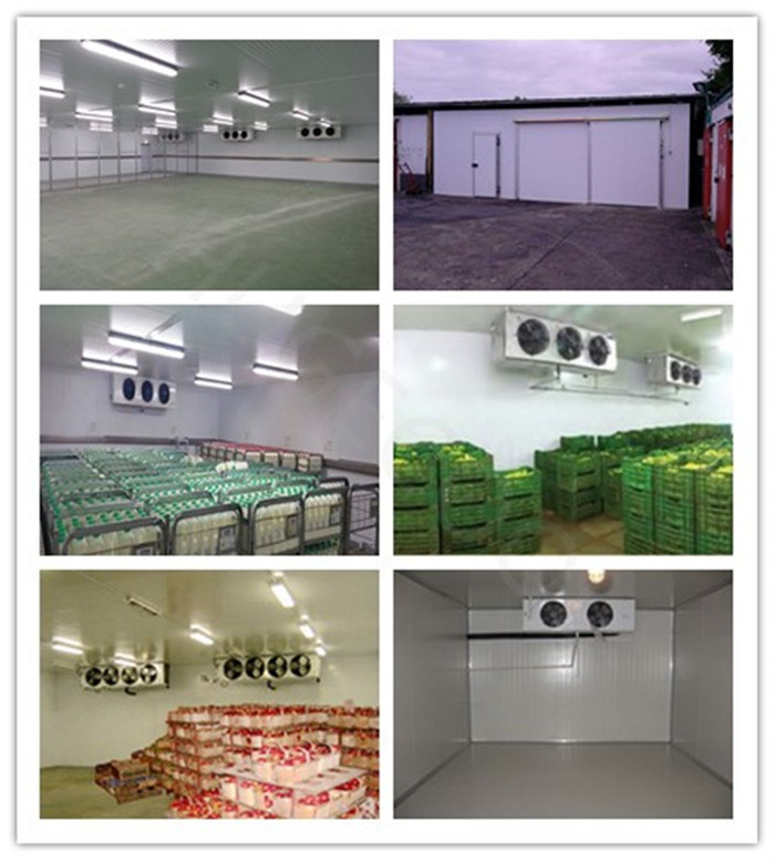Efficiently Designed PU Panel Food Cold Storage Room for Chiller and Freezer Needs