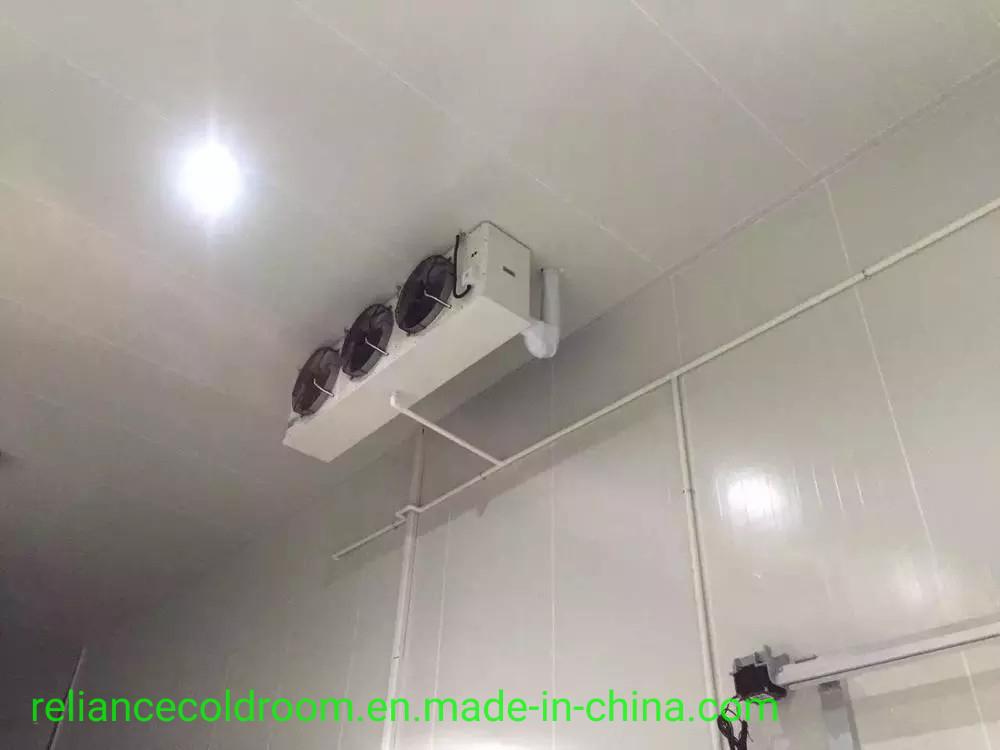 Customized Request Cold Room for Fish and Meat Storage Temperature Range -10-0C 3 Tons