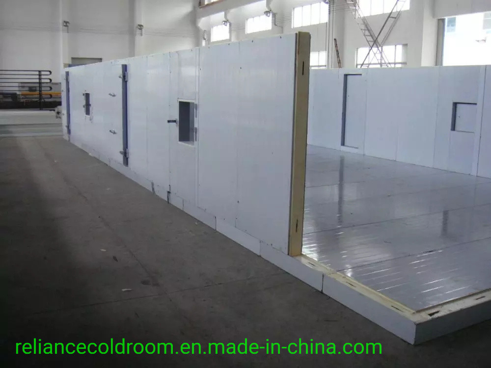 Customized Request Cold Room for Fish and Meat Storage Temperature Range -10-0C 3 Tons