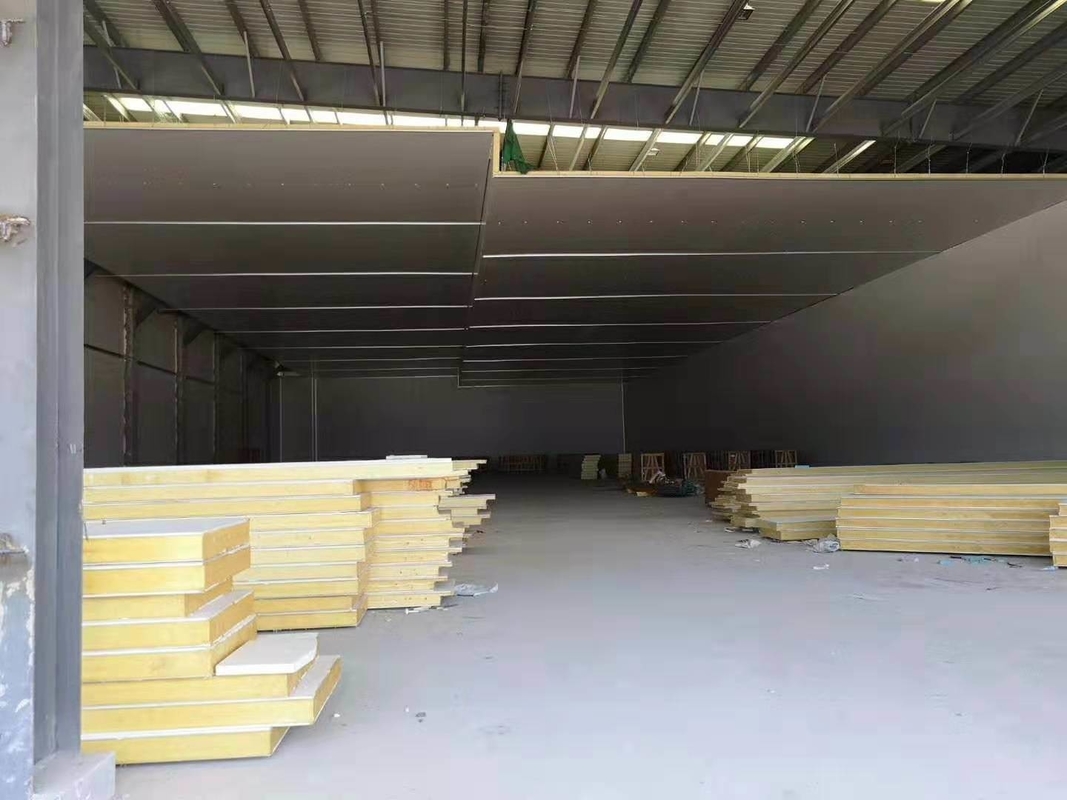 100 Tons Cold Storage Room for Farm Vegetables Fruits Nature Distribution Solution