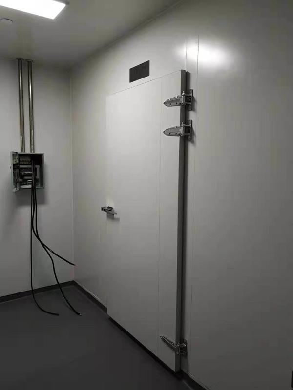 100 Tons Cold Storage Room for Farm Vegetables Fruits Nature Distribution Solution