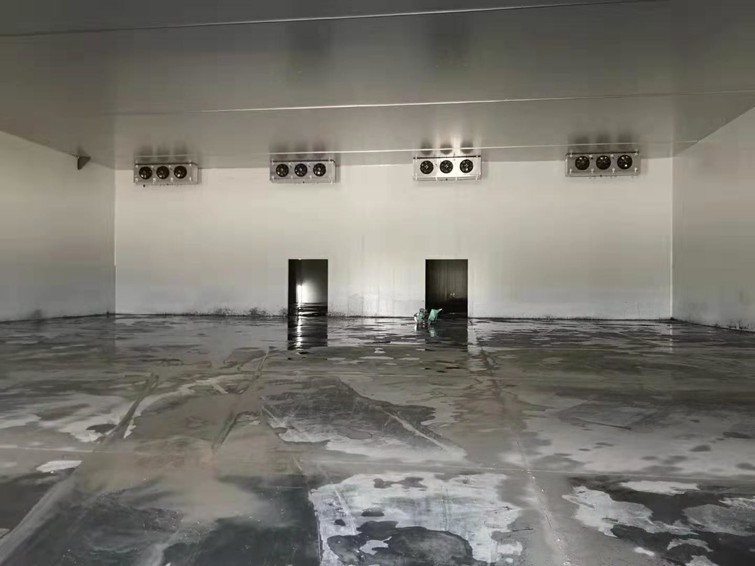 100 Tons Cold Storage Room for Farm Vegetables Fruits Nature Distribution Solution