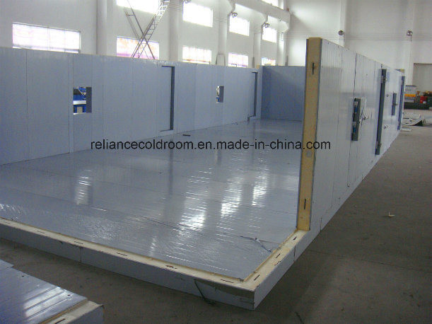 Customized Request Air Cooled Fresh Keeping Cold Room Chiller for Fruit Customization