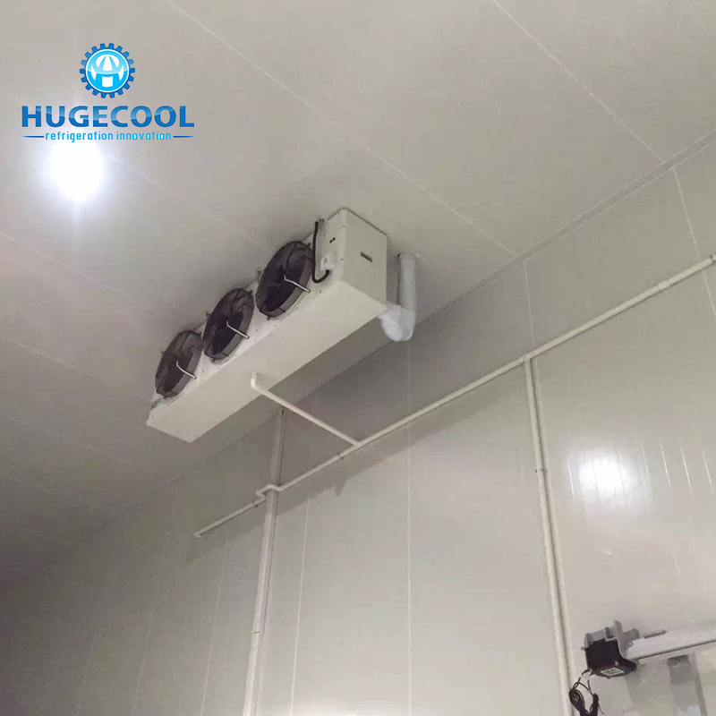 HUGECOOL2 Freezer Room Storage for Meat Large Capacity and -10-0C Temperature