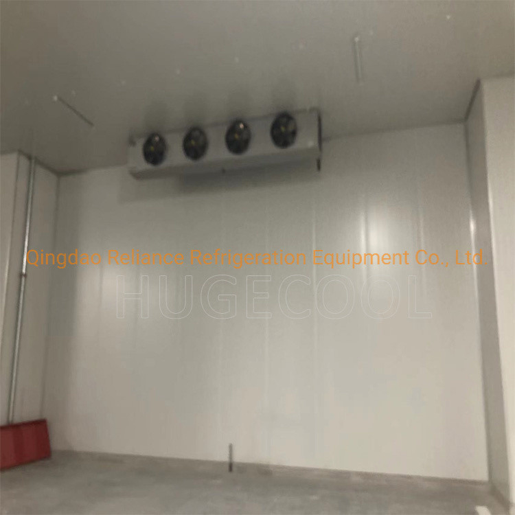 Blast Freezer Cold Room with Air Cooling Method and Compressor Refrigeration Unit