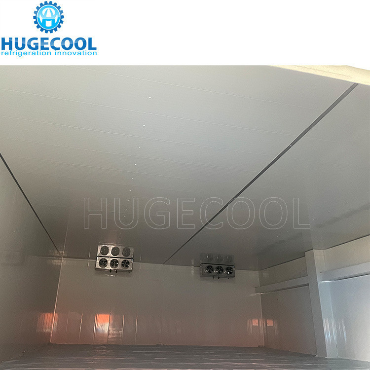 Blast Freezer Cold Room with Air Cooling Method and Compressor Refrigeration Unit