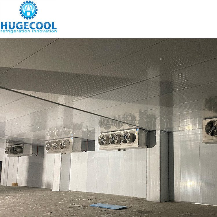 Blast Freezer Cold Room with Air Cooling Method and Compressor Refrigeration Unit