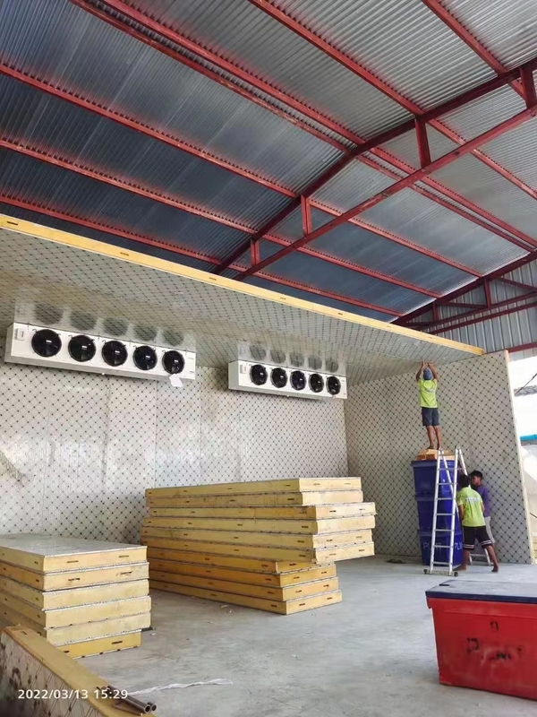 COLDROOM2 20FT Container Cold Frozen Room Manufacturers with and Air Cooling Method