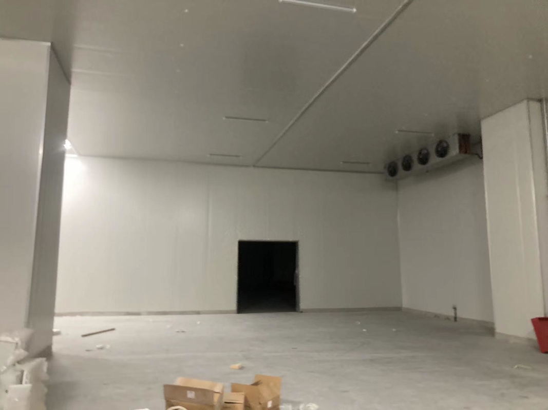 COLDROOM2 20FT Container Cold Frozen Room Manufacturers with and Air Cooling Method