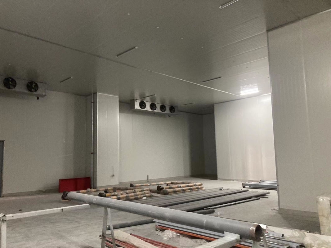 COLDROOM2 20FT Container Cold Frozen Room Manufacturers with and Air Cooling Method