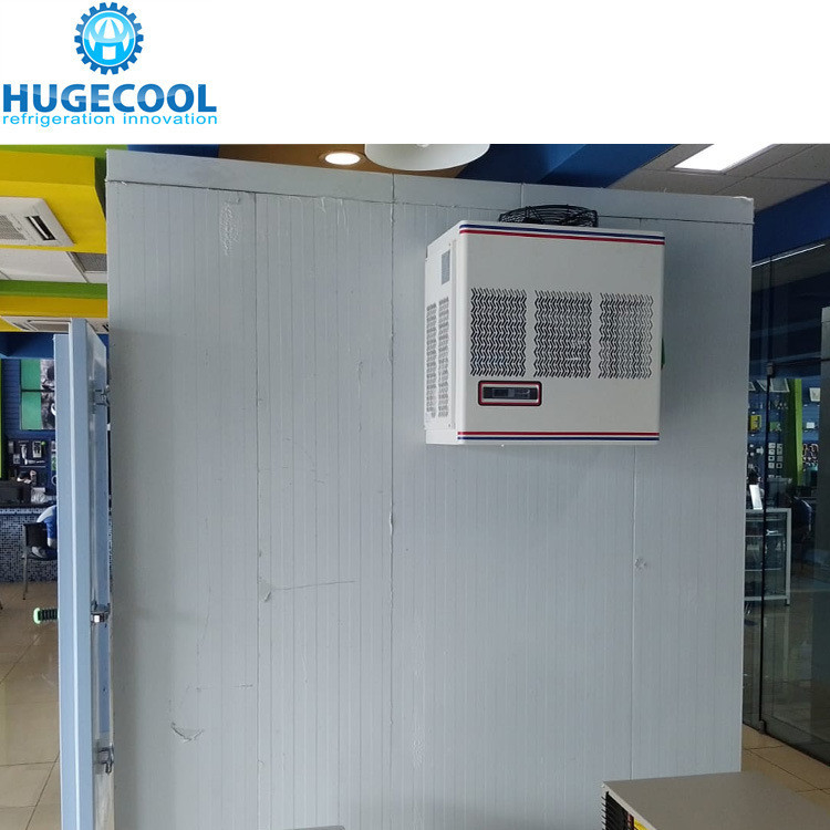 COLDROOM2 20FT Container Cold Frozen Room Manufacturers with and Air Cooling Method