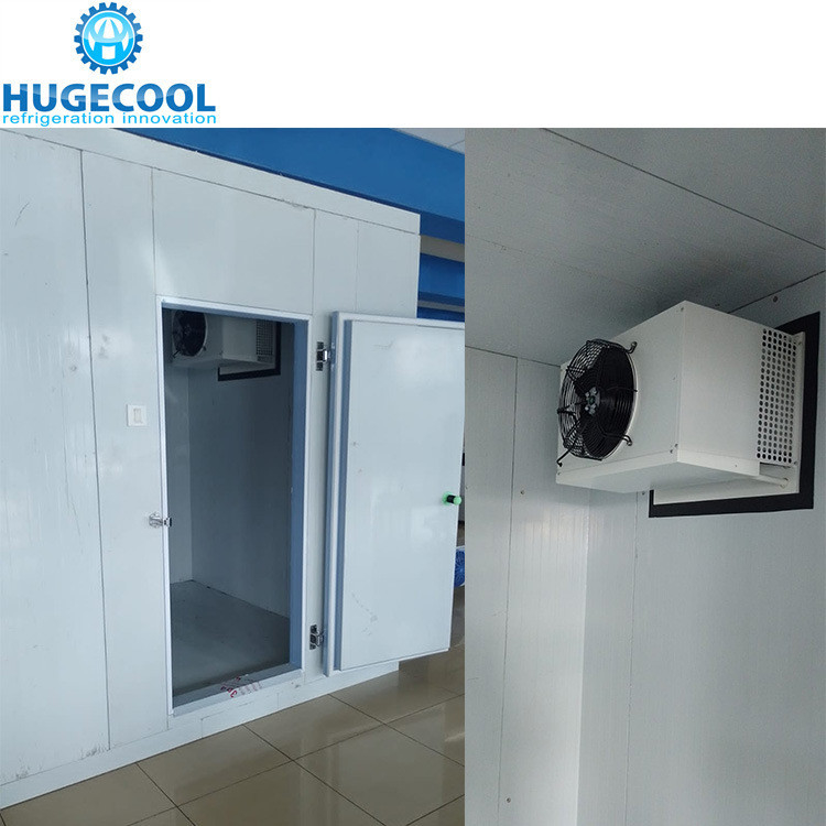 COLDROOM2 20FT Container Cold Frozen Room Manufacturers with and Air Cooling Method