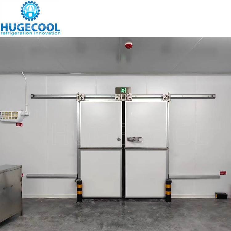 20FT Solar Power Container Cold Room Industrial Door Hinge with Blood Customization