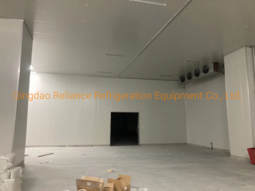 Cold/Cool/Freezer Room for Chicken/Meat/Fish -10-0C Temperature Assembled Design