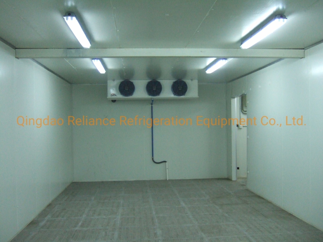 Assembled Structure One Ton Fish Cold Room with Freon Refrigerant and LED Lighting