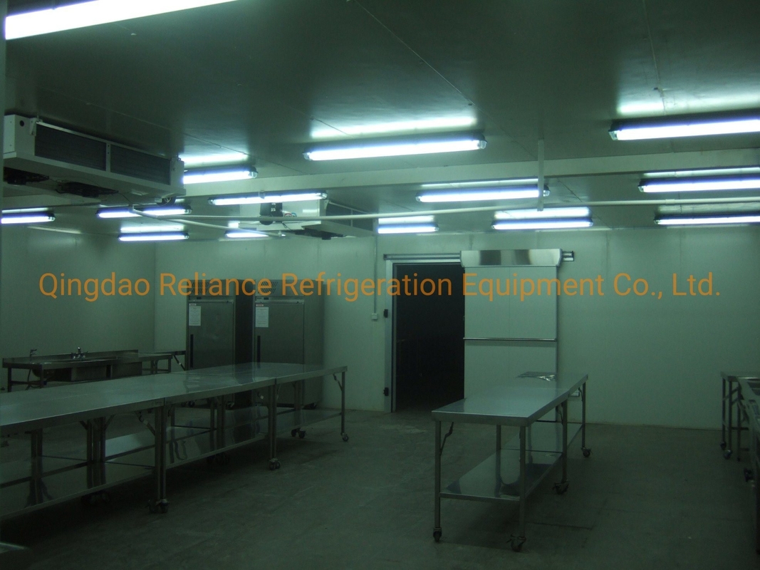 Assembled Structure One Ton Fish Cold Room with Freon Refrigerant and LED Lighting