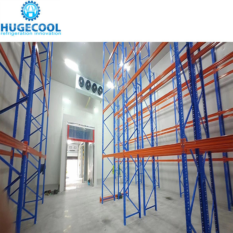 Food Preservation and Storage Walk in Cooler Cold Room with Freezing Functions