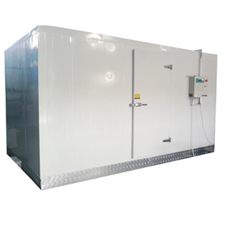 Food Preservation and Storage Walk in Cooler Cold Room with Freezing Functions