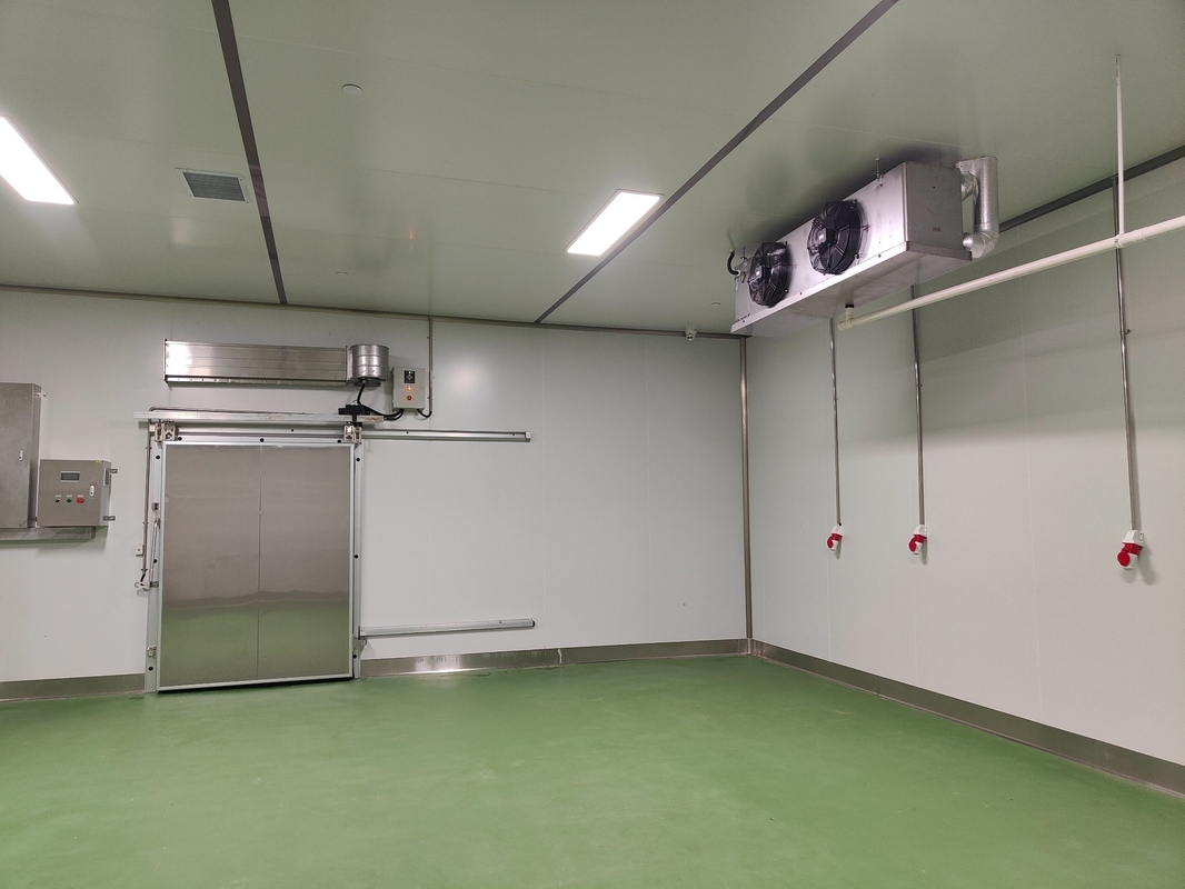 Cooling Room for Vegetables Temperature -18c Customized Request All Accessories