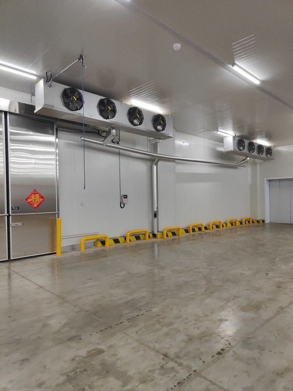 Cooling Room for Vegetables Temperature -18c Customized Request All Accessories
