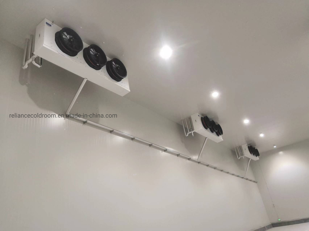 Customization Walk-in Cooler Refrigeration Cold Storage Freezer with Freon Refrigerant