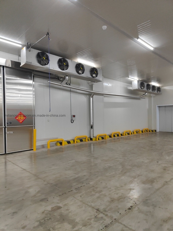 Customization Walk-in Cooler Refrigeration Cold Storage Freezer with Freon Refrigerant